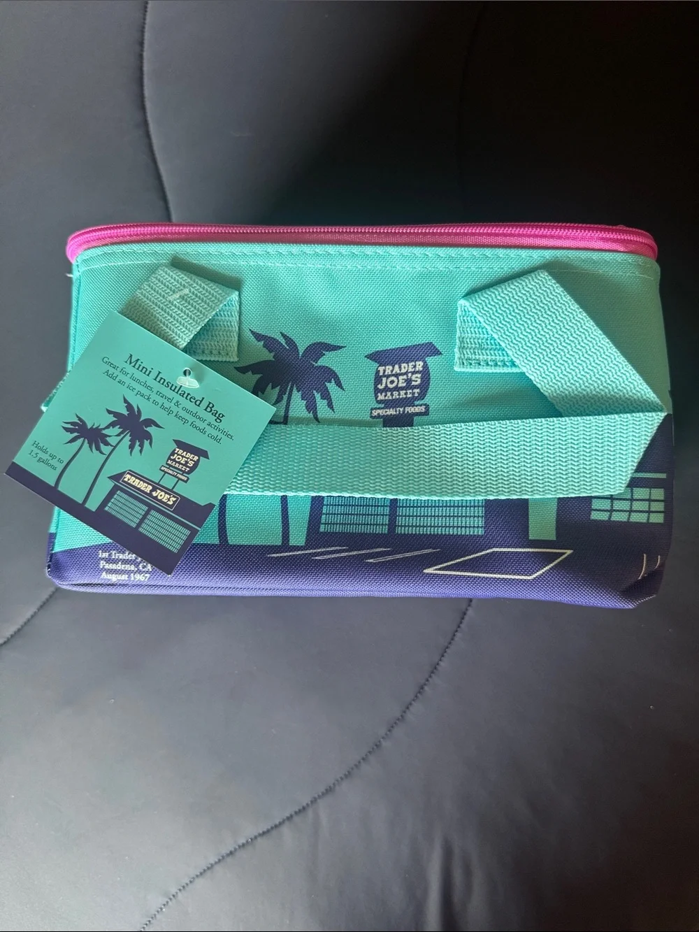 Trader Joe's Mini Insulated Bag- lunchbox - Teal & Purple with Pink Trim